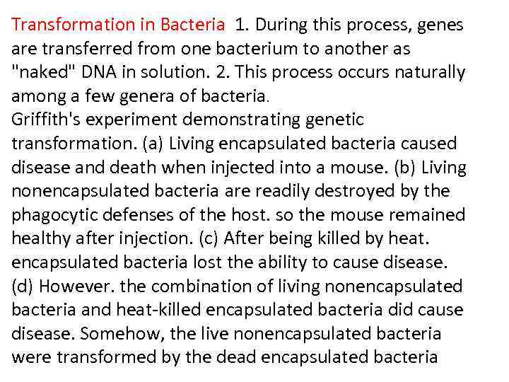 Transformation in Bacteria 1. During this process, genes are transferred from one bacterium to