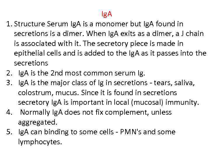 Ig. A 1. Structure Serum Ig. A is a monomer but Ig. A found