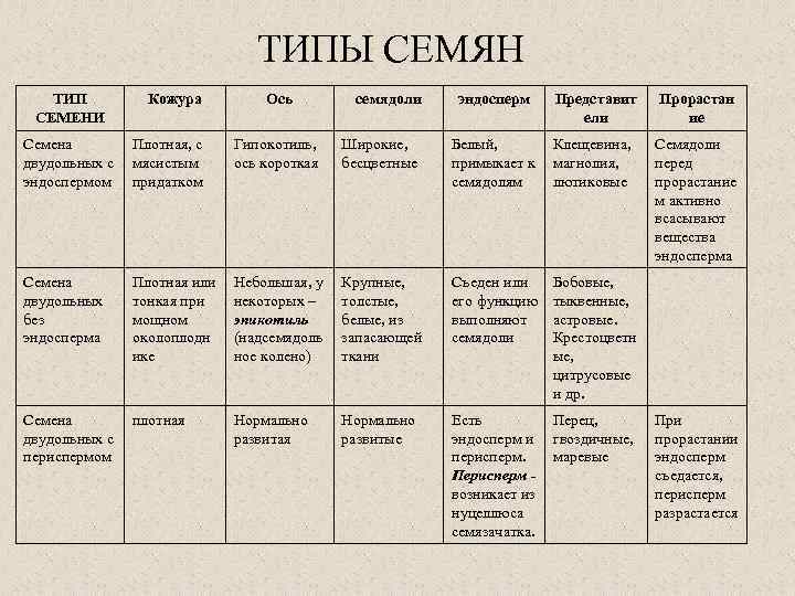 ТИПЫ СЕМЯН ТИП СЕМЕНИ Кожура Ось семядоли эндосперм Представит ели Прорастан ие Семядоли перед