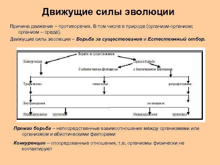Движущие силы эволюции Причина движения – противоречия. В том числе в природе (организм-организм; организм