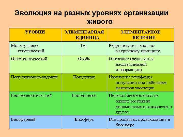 Эволюция на разных уровнях организации живого УРОВНИ Молекулярногенетический Онтогенетический Популяционно-видовой Биогеоценотический Биосферный ЭЛЕМЕНТАРНАЯ ЕДИНИЦА