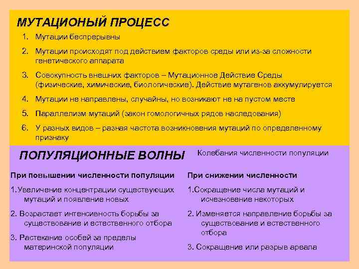 МУТАЦИОНЫЙ ПРОЦЕСС 1. Мутации беспрерывны 2. Мутации происходят под действием факторов среды или из-за