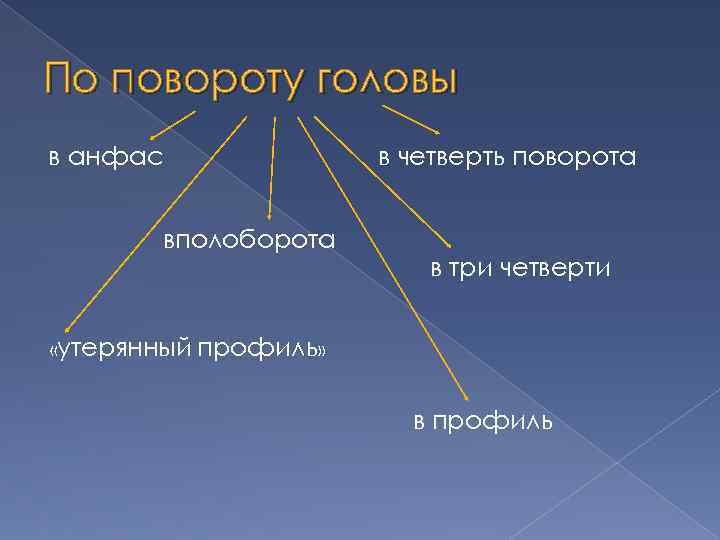 По повороту головы в анфас вполоборота в четверть поворота в три четверти «утерянный профиль»