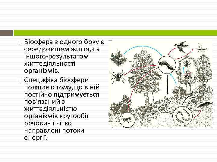  Біосфера з одного боку є середовищем життя, а з іншого-результатом життєдіяльності організмів. Специфіка