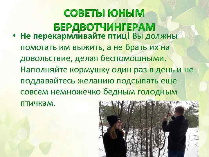  • Не перекармливайте птиц! Вы должны помогать им выжить, а не брать их