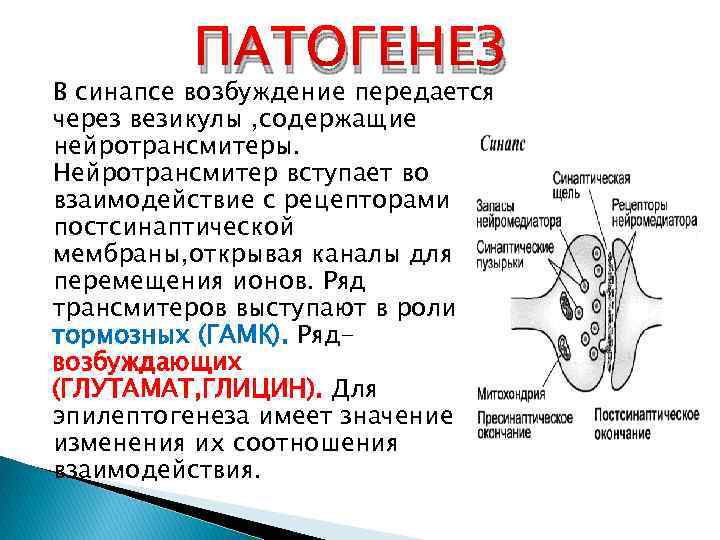 Эпилепсия патогенез презентация