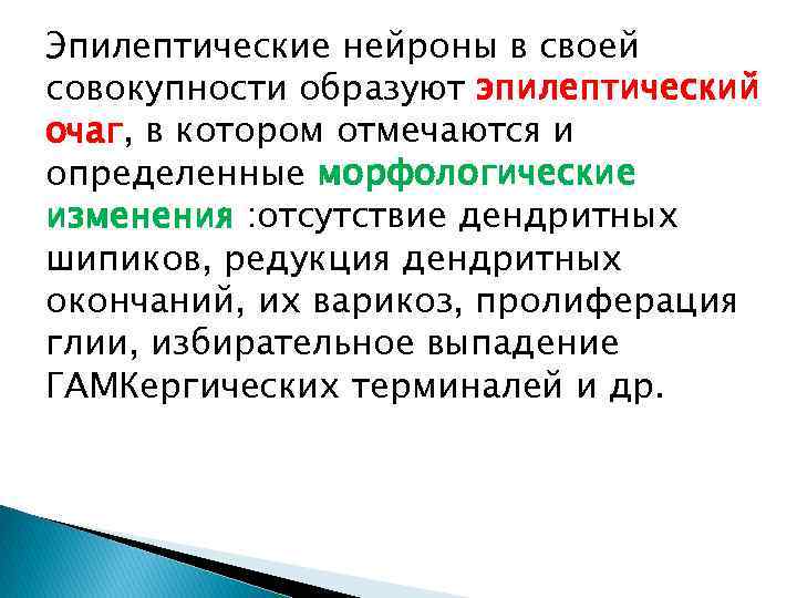 Эпилептические нейроны в своей совокупности образуют эпилептический очаг, в котором отмечаются и определенные морфологические