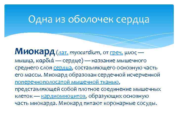 Одна из оболочек сердца Миокард (лат. myocardium, от греч. μυος — мышца, καρδιά —