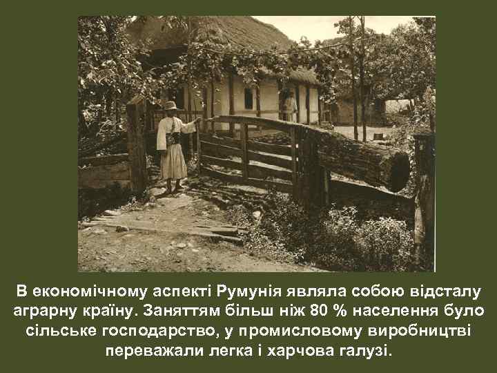 В економічному аспекті Румунія являла собою відсталу аграрну країну. Заняттям більш ніж 80 %