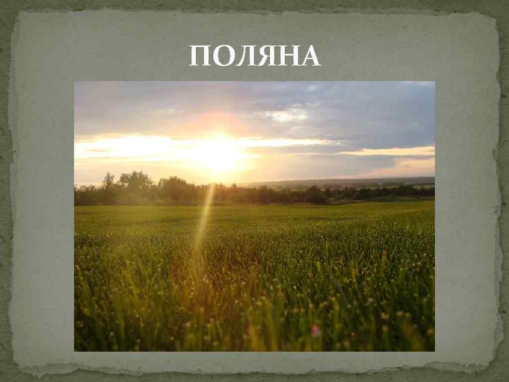 ПОЛЯНА 