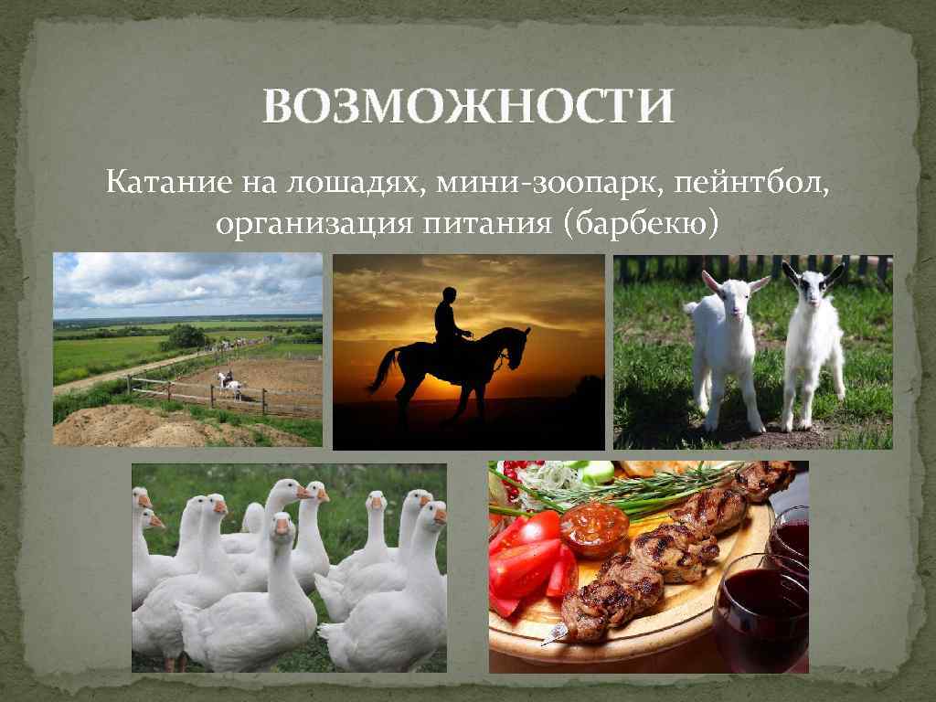 ВОЗМОЖНОСТИ Катание на лошадях, мини-зоопарк, пейнтбол, организация питания (барбекю) 