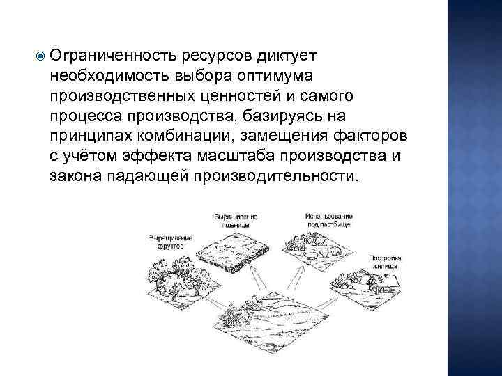  Ограниченность ресурсов диктует необходимость выбора оптимума производственных ценностей и самого процесса производства, базируясь