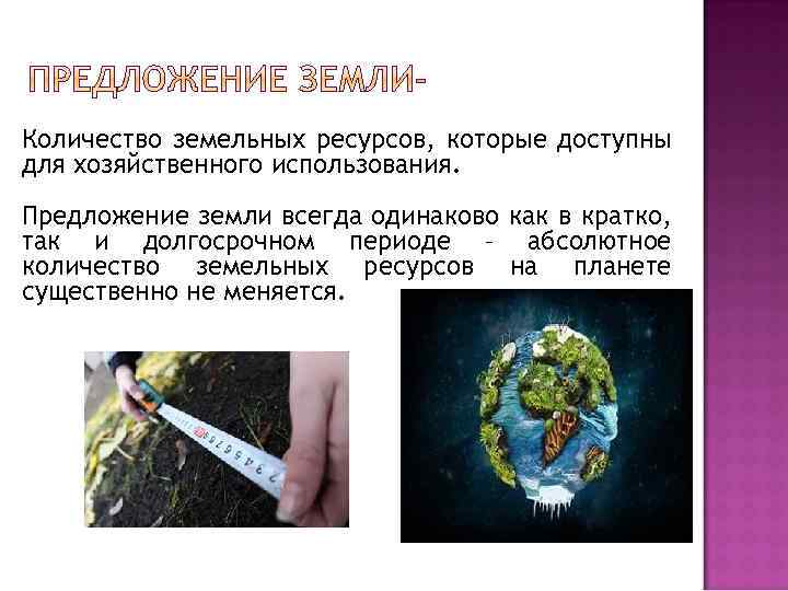 Количество земельных ресурсов, которые доступны для хозяйственного использования. Предложение земли всегда одинаково как в