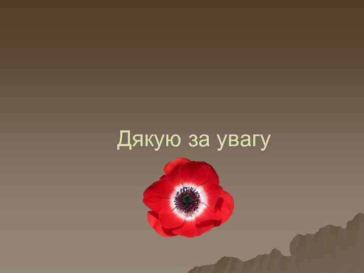 Дякую за увагу 