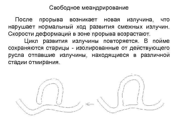 Свободное меандрирование После прорыва возникает новая излучина, что нарушает нормальный ход развития смежных излучин.