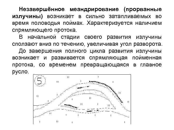 Незавершённое меандрирование (прорванные излучины) возникает в сильно затапливаемых во время половодья поймах. Характеризуется наличием