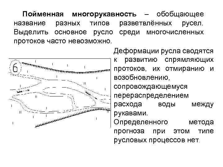 Пойменная многорукавность – обобщающее название разных типов разветвлённых русел. Выделить основное русло среди многочисленных