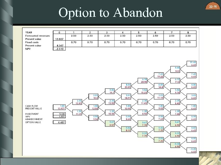 Option to Abandon 22 -15 