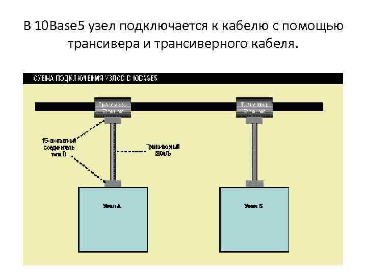 В 10 Base 5 узел подключается к кабелю с помощью трансивера и трансиверного кабеля.