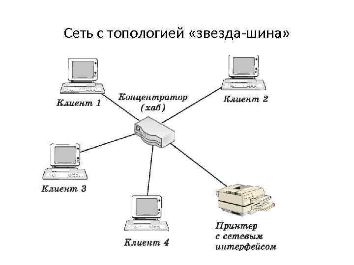 Базовые сетевые топологии