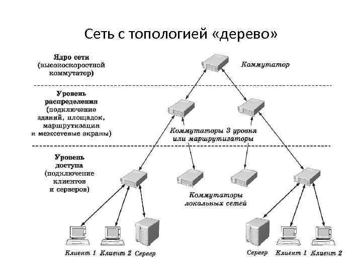 Сеть с топологией «дерево» 