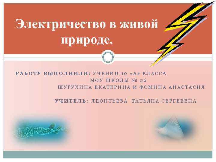 Электричество в живой природе. РАБОТУ ВЫПОЛНИЛИ: УЧЕНИЦ 10 «А» КЛАССА МОУ ШКОЛЫ № 26