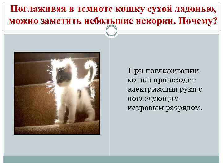 Поглаживая в темноте кошку сухой ладонью, можно заметить небольшие искорки. Почему? При поглаживании кошки