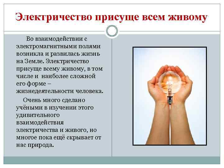Электричество присуще всем живому Во взаимодействии с электромагнитными полями возникла и развилась жизнь на
