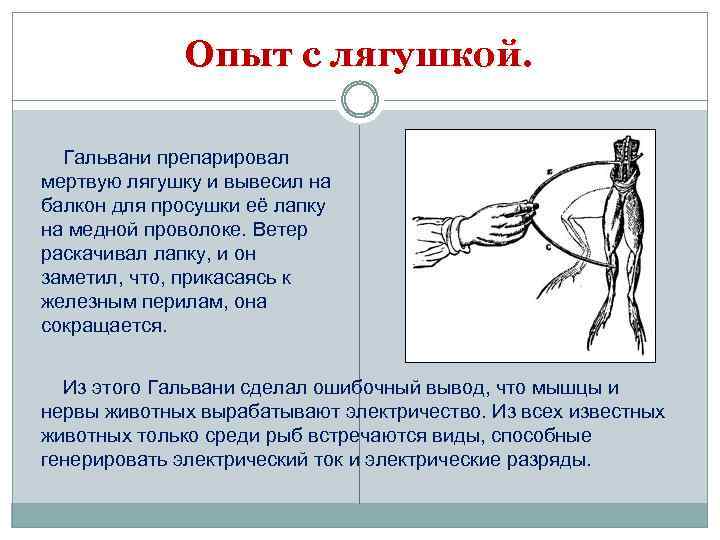 Опыт с лягушкой. Гальвани препарировал мертвую лягушку и вывесил на балкон для просушки её