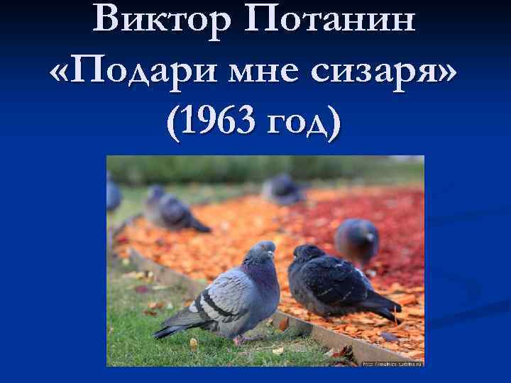 Виктор Потанин «Подари мне сизаря» (1963 год) 