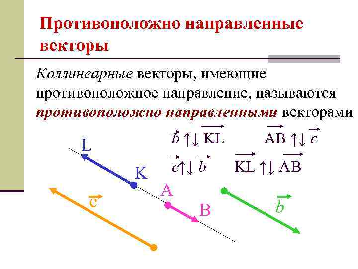 Противоположно направленные векторы Коллинеарные векторы, имеющие противоположное направление, называются противоположно направленными векторами b ↑↓