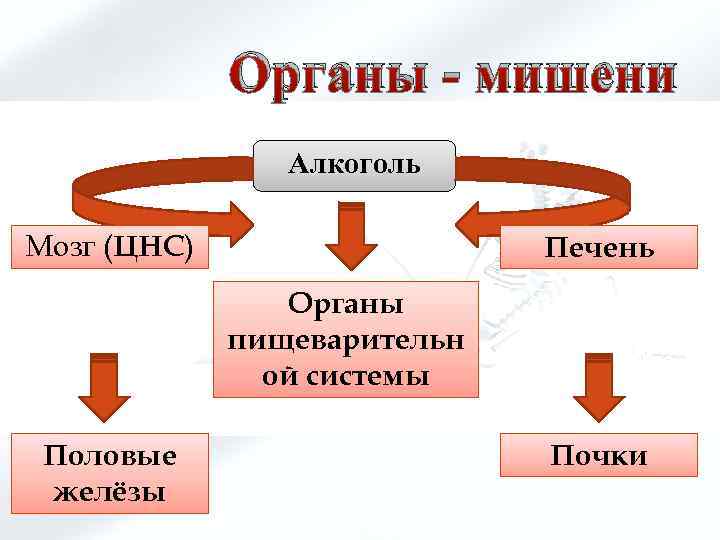 Система ой