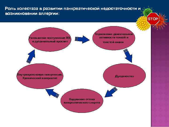 Роль холестаза в развитии панкреатической недостаточности и возникновении аллергии: STOP Уменьшение поступления ЖК в