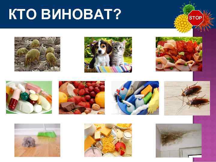 КТО ВИНОВАТ? STOP 