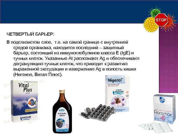 STOP ЧЕТВЕРТЫЙ БАРЬЕР: В подслизистом слое, т. е. на самой границе с внутренней средой