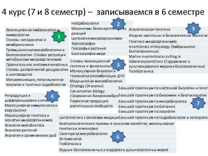 4 курс (7 и 8 семестр) – записываемся в 6 семестре Нейробиология 2 Механизмы