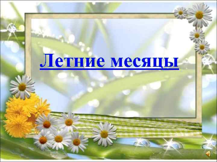 Летние месяцы 
