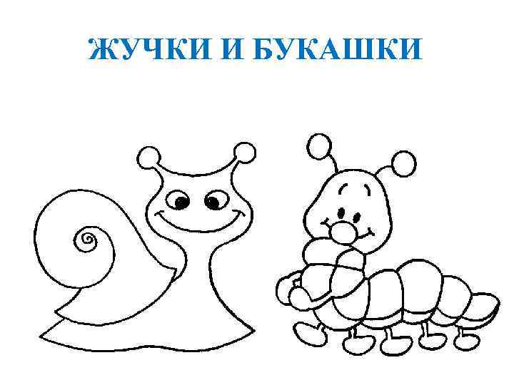 ЖУЧКИ И БУКАШКИ 