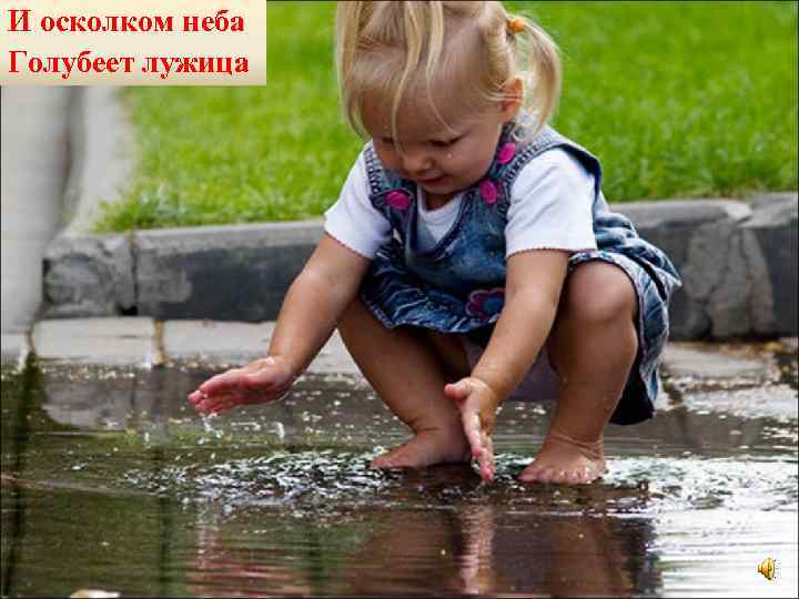 И осколком неба Голубеет лужица 