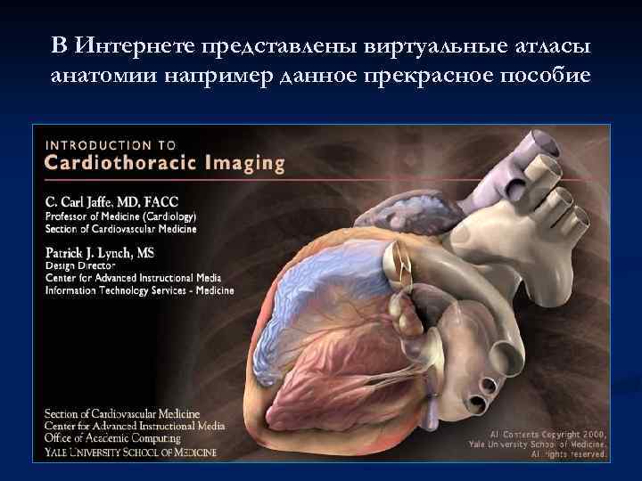 В Интернете представлены виртуальные атласы анатомии например данное прекрасное пособие 