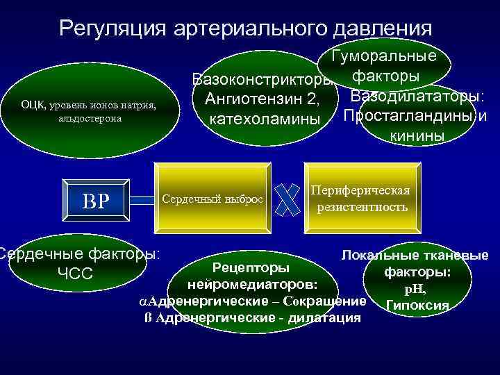 Регуляция артериального давления ОЦК, уровень ионов натрия, альдостерона BP Гуморальные Вазоконстрикторы: факторы Вазодилататоры: Ангиотензин