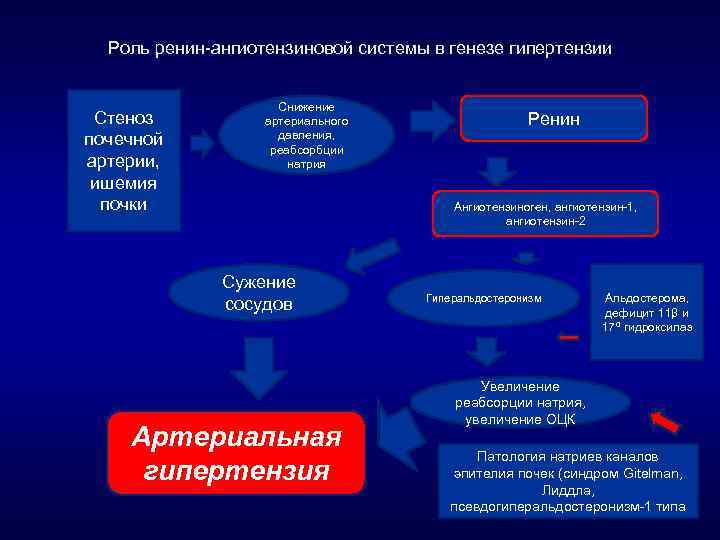 Роль ренин-ангиотензиновой системы в генезе гипертензии Стеноз почечной артерии, ишемия почки Снижение артериального давления,