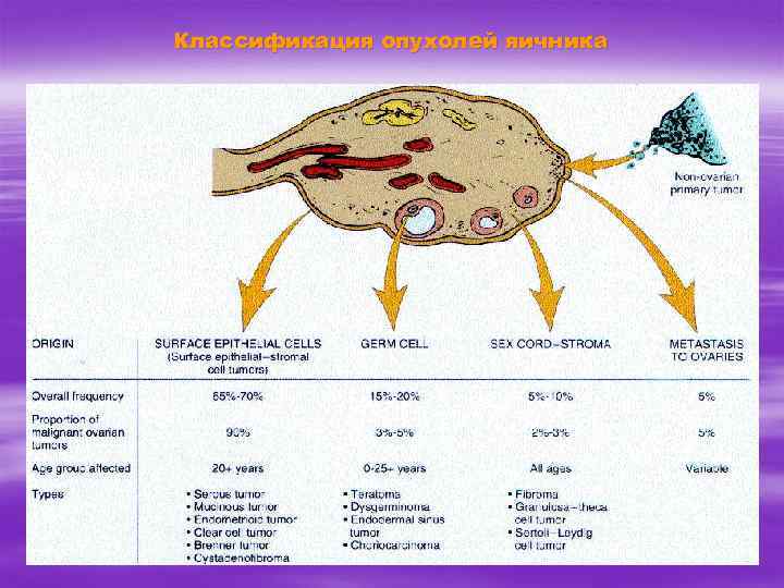 Классификация опухолей яичника 