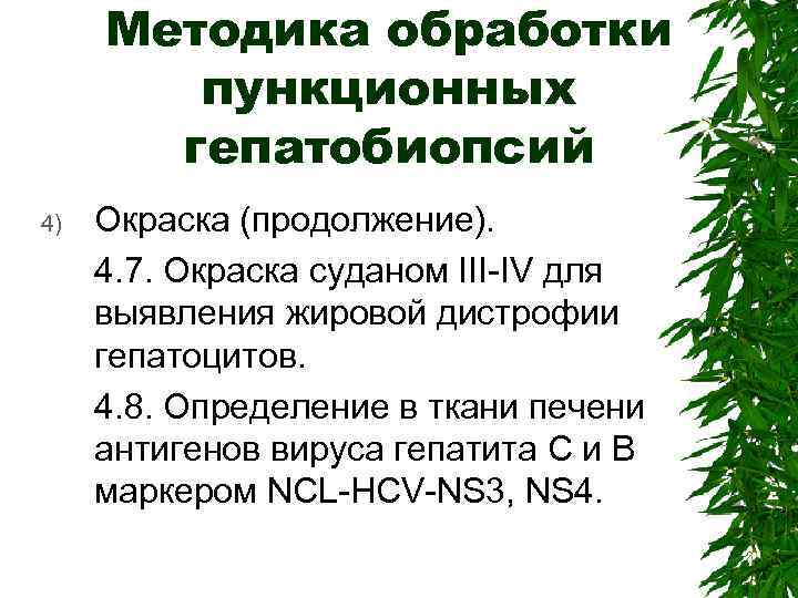 Методика обработки пункционных гепатобиопсий 4) Окраска (продолжение). 4. 7. Окраска суданом III-IV для выявления