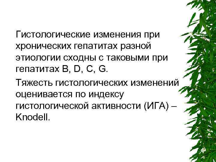 Гистологические изменения при хронических гепатитах разной этиологии сходны с таковыми при гепатитах В, D,