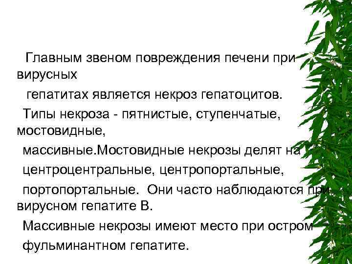 Главным звеном повреждения печени при вирусных гепатитах является некроз гепатоцитов. Типы некроза - пятнистые,