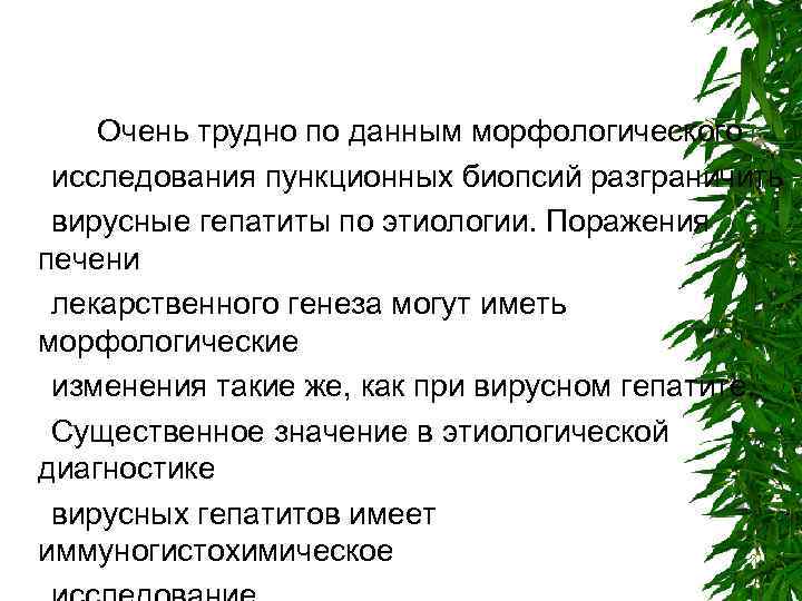 Очень трудно по данным морфологического исследования пункционных биопсий разграничить вирусные гепатиты по этиологии. Поражения