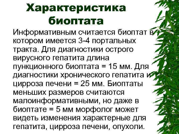 Характеристика биоптата Информативным считается биоптат в котором имеется 3 -4 портальных тракта. Для диагностики