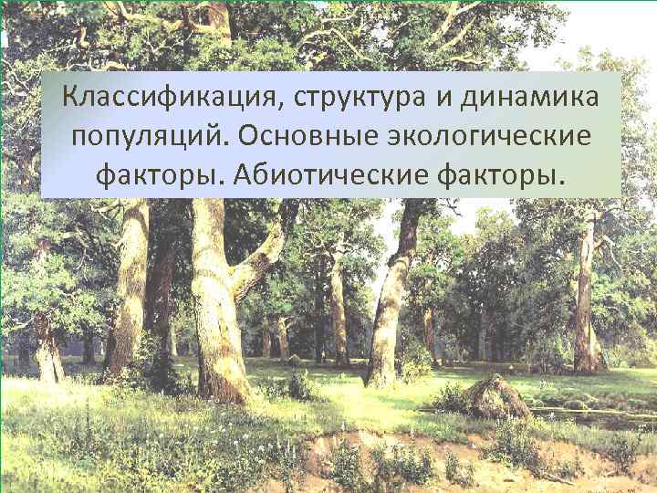 Классификация, структура и динамика популяций. Основные экологические факторы. Абиотические факторы. 
