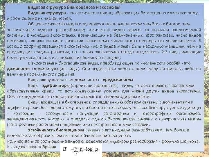 Среди животных богаче видовой состав. Численность особей в популяциях биогеоценоза зависит от. Активный ил состав. Видовой состав активного ила. Доминанты предоминанты и эдификаторы.